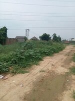 537 Sq.Ft. Plot in Gohana Road
