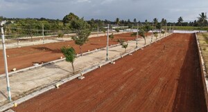  Plot For Sale in Bangarapet