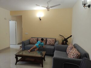 2.5 BHK Apartment For Rent in M3M Marina, Sector 68