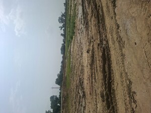  Plot – Garden View at Raman Reiti - for Sale