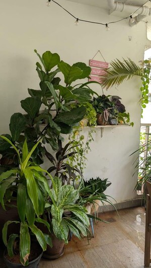 Balcony in 3 BHK Apartment at SVC Tree Walk, Kondapur – for Rent