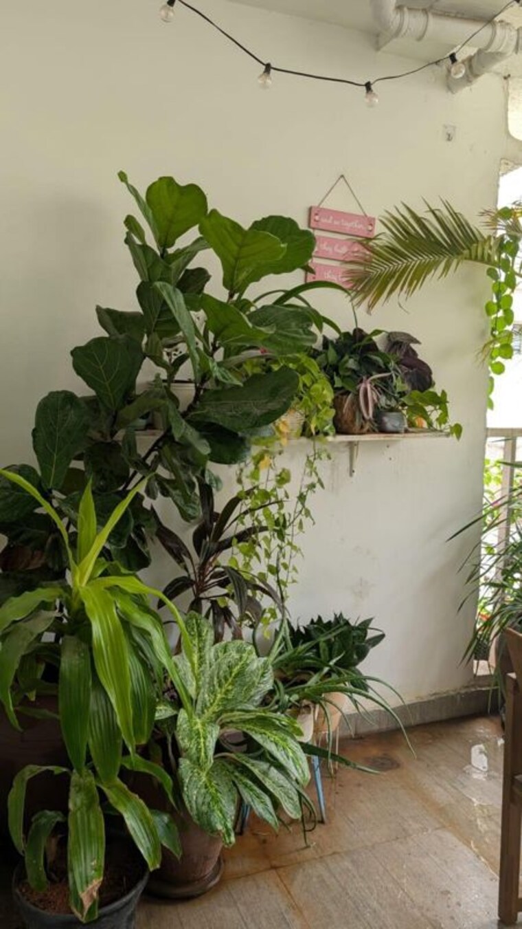 Balcony, svc-tree-walk 3 Bedroom 1400 Sq.Ft. Apartment In Kondapur Hyderabad 10625916