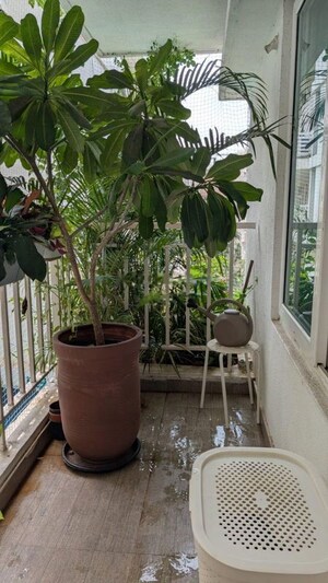 Balcony in 3 BHK Apartment at SVC Tree Walk, Kondapur – for Rent
