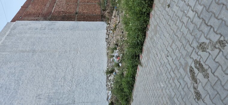 undefined, sector 123  135 Sq.Yd. Plot In Sector 123 Mohali 10625887