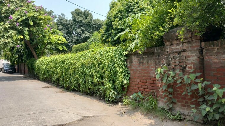 Garden, civil lines 5 Bedroom 2100 Sq.Yd. Villa In Civil Lines Delhi 10626048