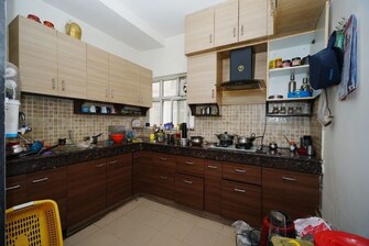 3 BHK Apartment For Sale in Orris Aster Court in Sector 85, Gurgaon