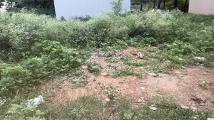  Plot For Sale in Tellapur