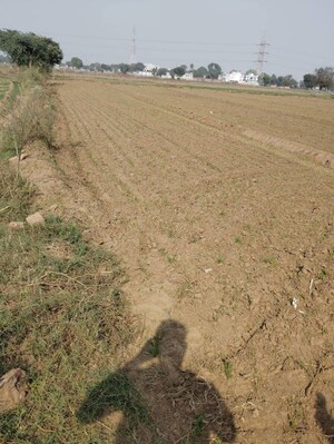  Plot For Sale in Sector 10a