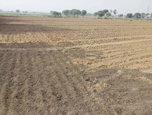 Plot Area in  Plot at Sector 10a – for Sale