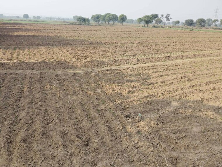 undefined, sector 10a  100 Sq.Yd. Plot In Sector 10a Gurgaon 10626897