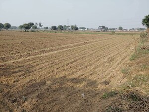 Plot Area in  Plot at Sector 10a – for Sale