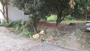 Plot Area in  Plot at Anarwala – for Sale