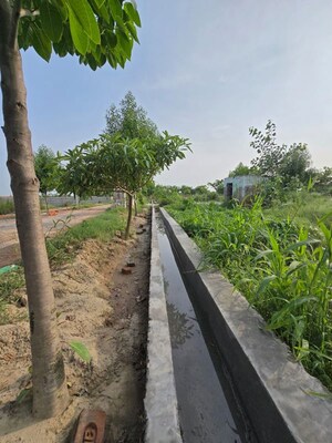   Plot at Jait – for Sale