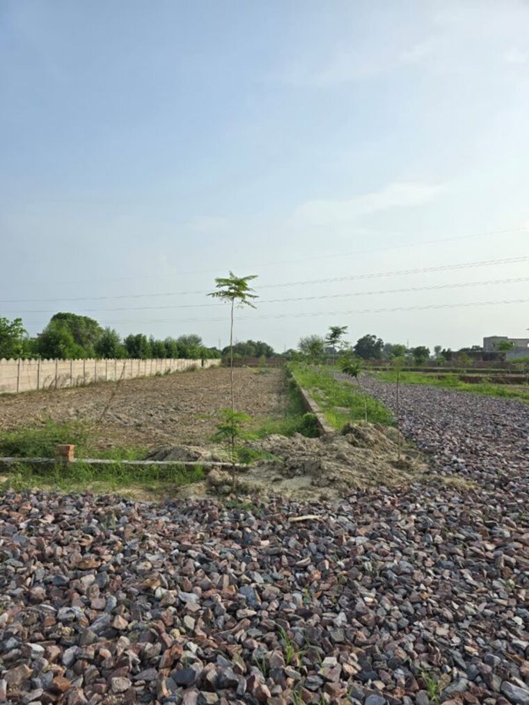 undefined, jait  1350 Sq.Ft. Plot In Jait Vrindavan 10627022