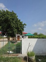 1350 Sq.Ft. Plot in Jait