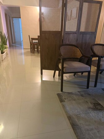 4 BHK + Servant Room Apartment For Rent in DLF New Town Heights III in Sector 91, Gurgaon