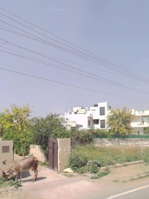  Plot – Exterior View View at Sector 52 - for Sale