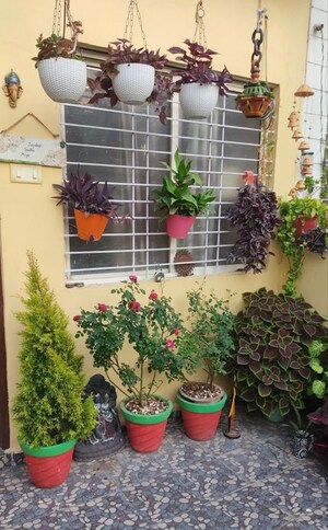  Pg For Rent in Vibhuti Khand