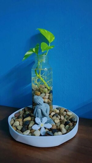  Pg For Rent in Vibhuti Khand