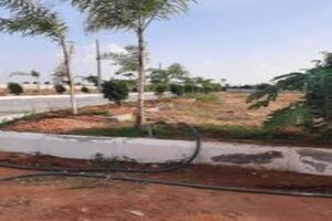   Plot at Burgula Village – for Sale