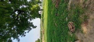 Plot Area in  Plot at Pachgain Khera – for Sale