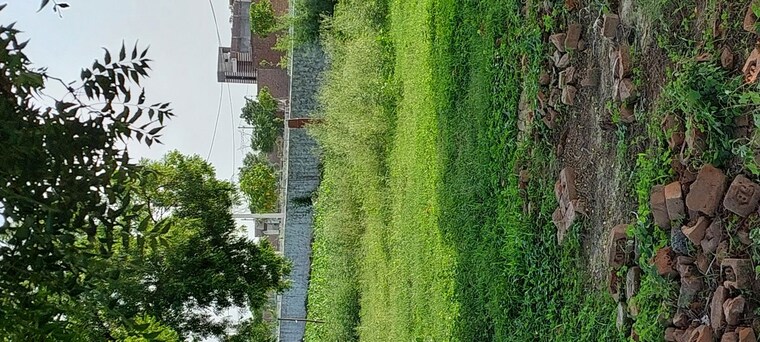 undefined, pachgain khera  90 Sq.Yd. Plot In Pachgain Khera Agra 10627551