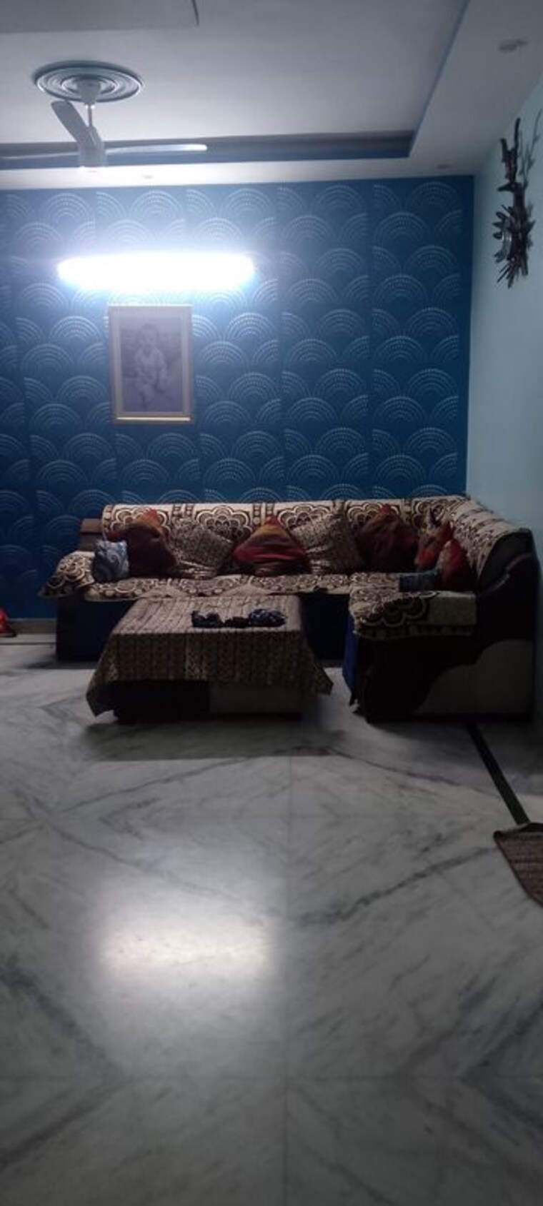 Bedroom, spring-field 3.5 Bedroom 240 Sq.Yd. Builder Floor In Sector 31 Faridabad 10627679