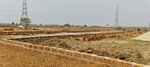 1369 Sq.Ft. Plot in Sijua