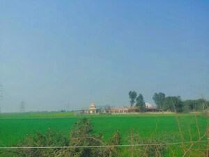 Plot Area in  Plot at Pataudi – for Sale