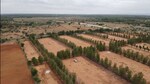 1200 Sq.Ft. Plot in Srinivaspur