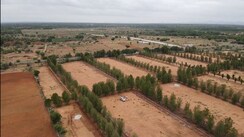 Plot For Sale in Srinivaspur