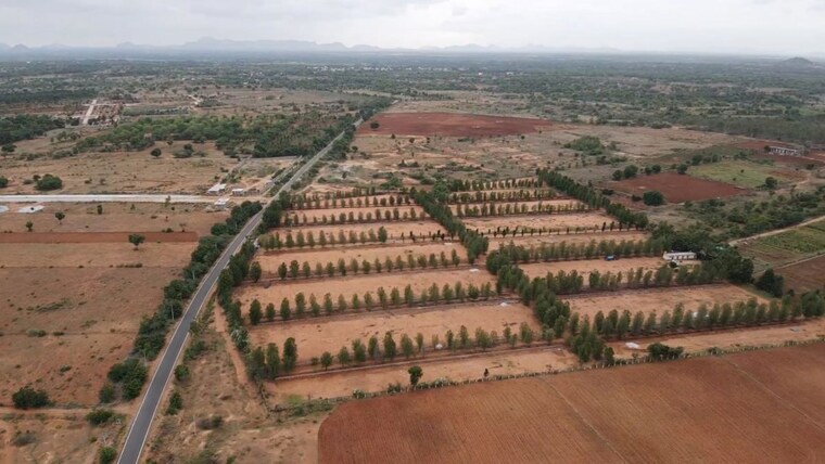 undefined, srinivaspur  1200 Sq.Ft. Plot In Srinivaspur Kolar 10628225