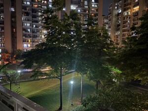 3 BHK Apartment For Rent in Tulip Violet, Sector 69