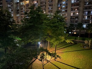 3 BHK Apartment – Exterior View View at Tulip Violet, Sector 69 - for Rent