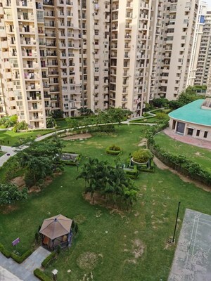 3.5 BHK Apartment For Sale in Paramount Floraville, Sector 137