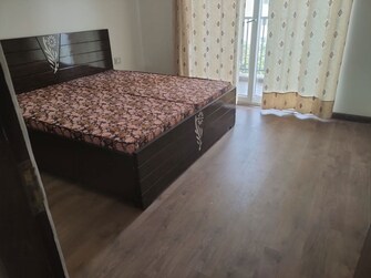 2 BHK 1092 Sq.Ft. Builder Floor in Ace Palm Floors