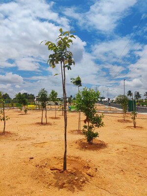  Plot For Sale in Kolar