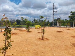 Plot For Sale in Kolar
