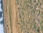 110 Sq.Yd. Plot in Sohna