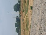 67 Sq.Yd. Plot in Sohna