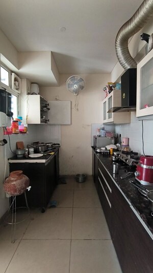 Kitchen in 3 BHK Builder Floor at Sector 22 – for Rent