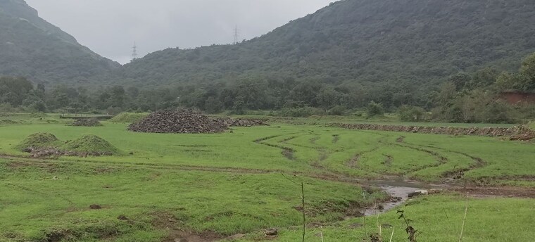 undefined, igatpuri  1 Acre Plot In Igatpuri Nashik 10585312