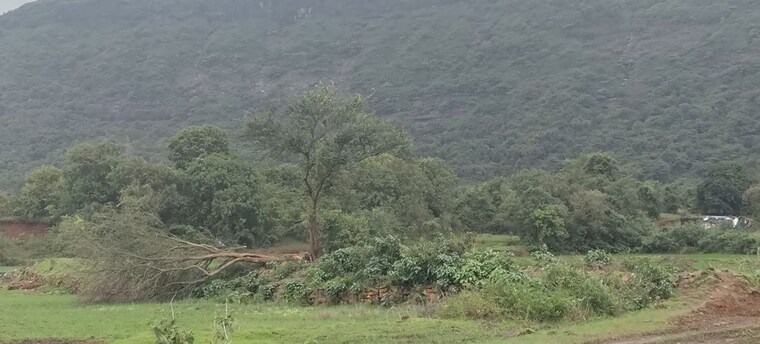 undefined, igatpuri  1 Acre Plot In Igatpuri Nashik 10585312