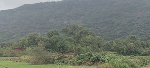 Plot Area in  Plot at Igatpuri – for Sale