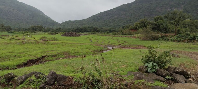 undefined, igatpuri  1 Acre Plot In Igatpuri Nashik 10585312