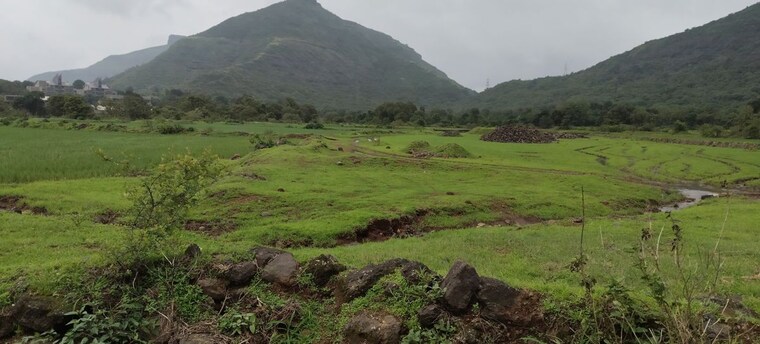 undefined, igatpuri  1 Acre Plot In Igatpuri Nashik 10585312