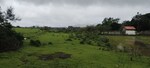 20000 Sq.Ft. Plot in Igatpuri