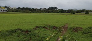  Land For Sale in Igatpuri