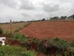 2400 Sq.Ft. Plot in My Citi