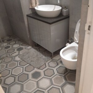 Bathroom in 2 BHK Apartment at Emaar Digi Homes, Sector 62 – for Rent